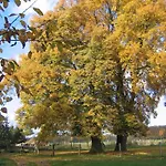 In Mit Garten Und Terrasse