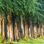 Апартаменты In Mit Garten Und Terrasse *