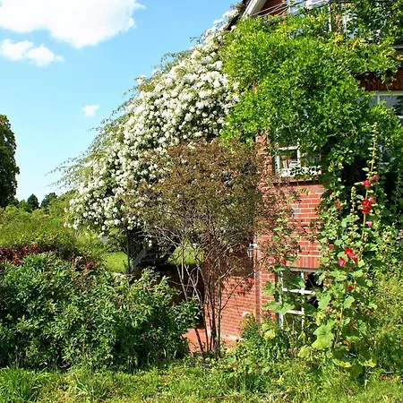 In Mit Garten Und Terrasse Apartment
