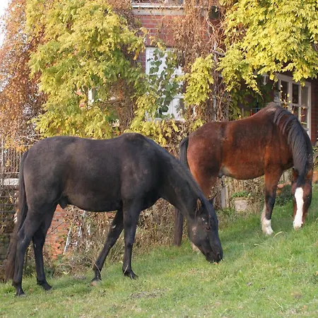 In Mit Garten Und Terrasse 公寓 Semlow
