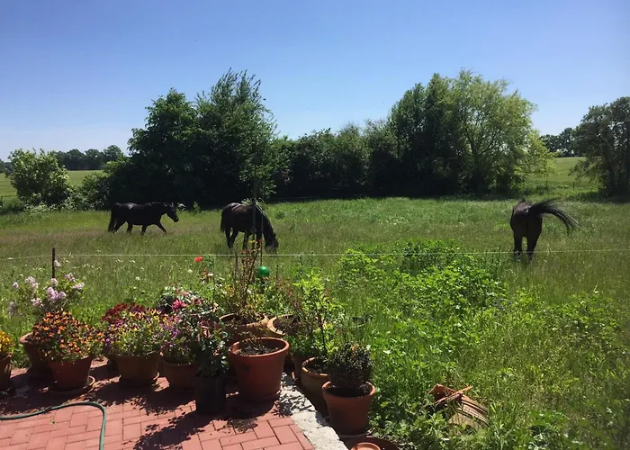 In Mit Garten Und Terrasse * Semlow