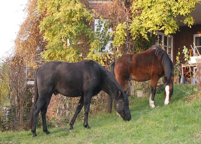 In Mit Garten Und Terrasse Apartment Semlow